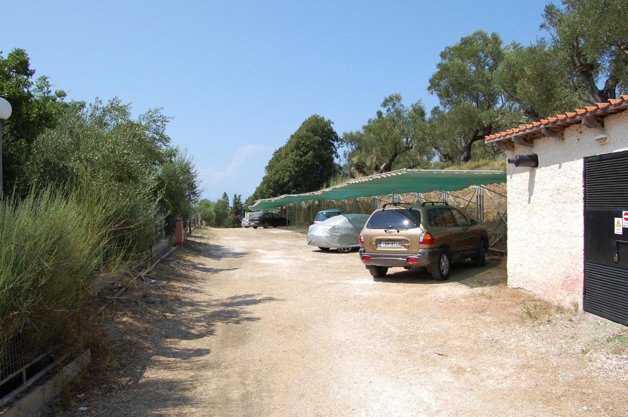 Zante Palace Tsilivi  Extérieur photo